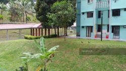 Blk 86 Commonwealth Close (Queenstown), HDB 3 Rooms #107138032